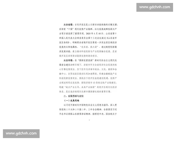 2025 上半年收官：政策赋能下的经济攻坚与下半年战略布局